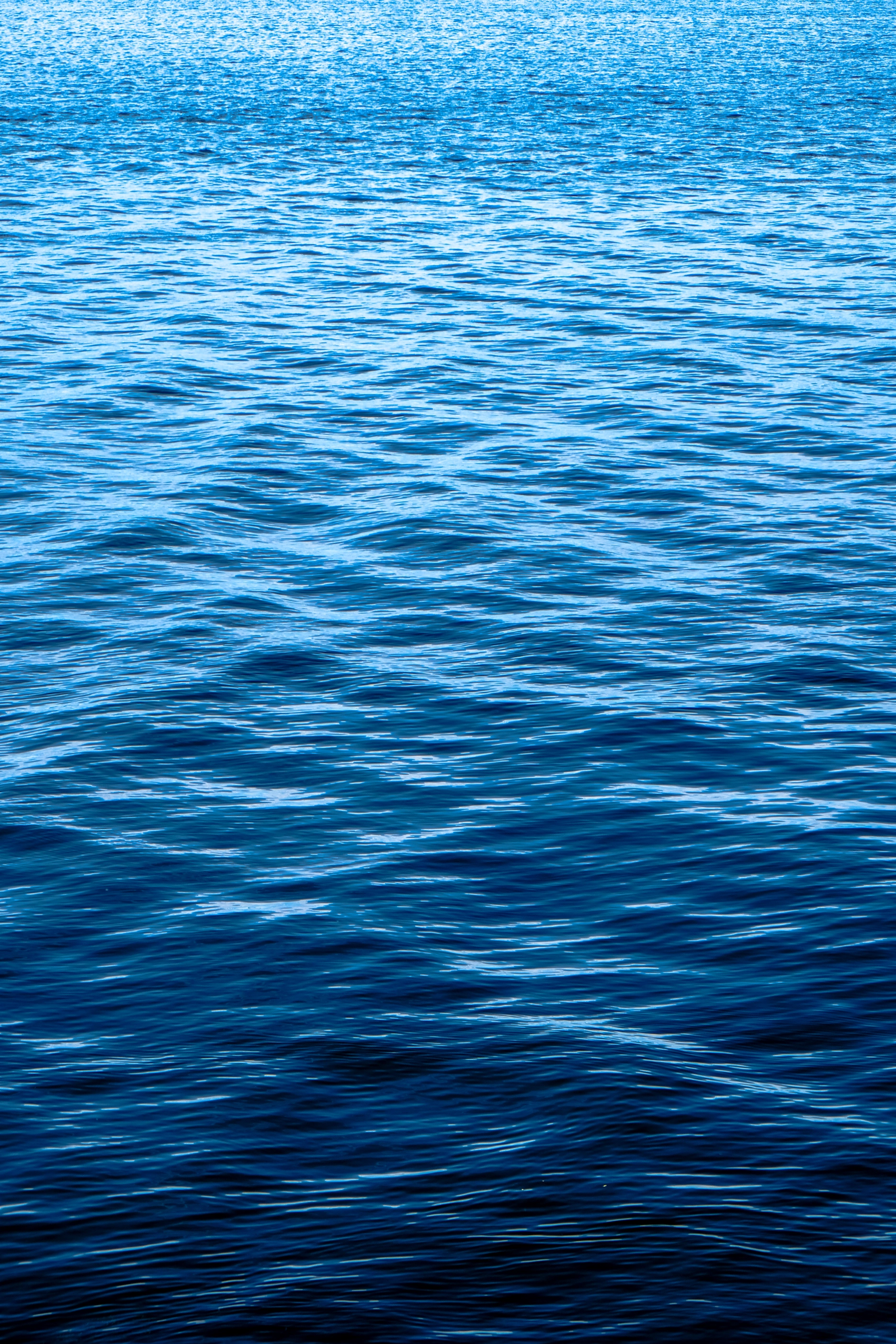 eaux-du-fjord-trondheim-photographie-norvege-claire-favry