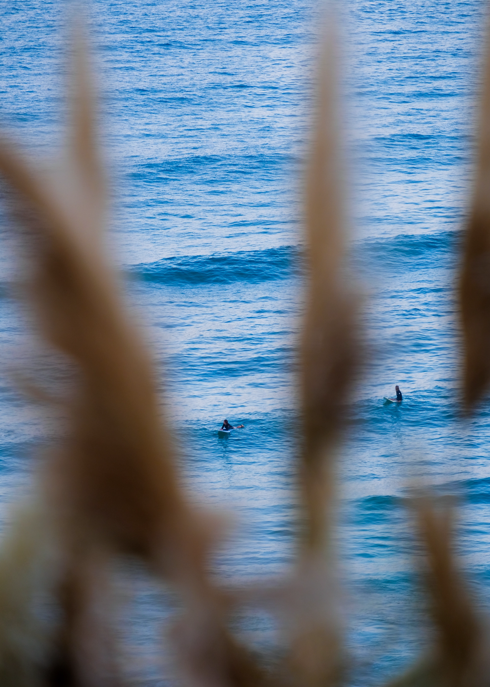 oeuvre matin paisible claire favry