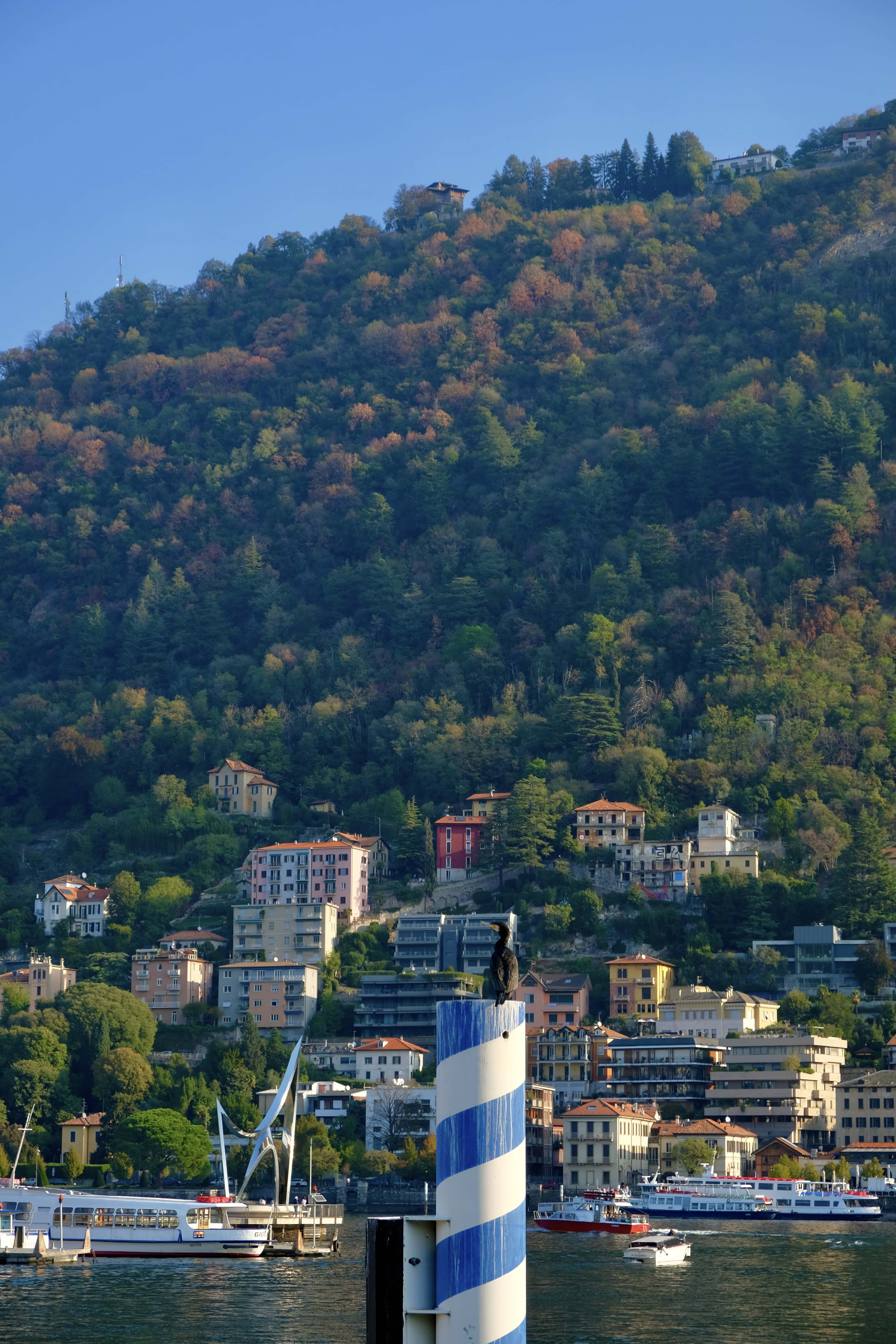 oiseau-poteau-falaise-come-lac-photographe-poster-nature-paysage-lombardie-italie-claire-favry