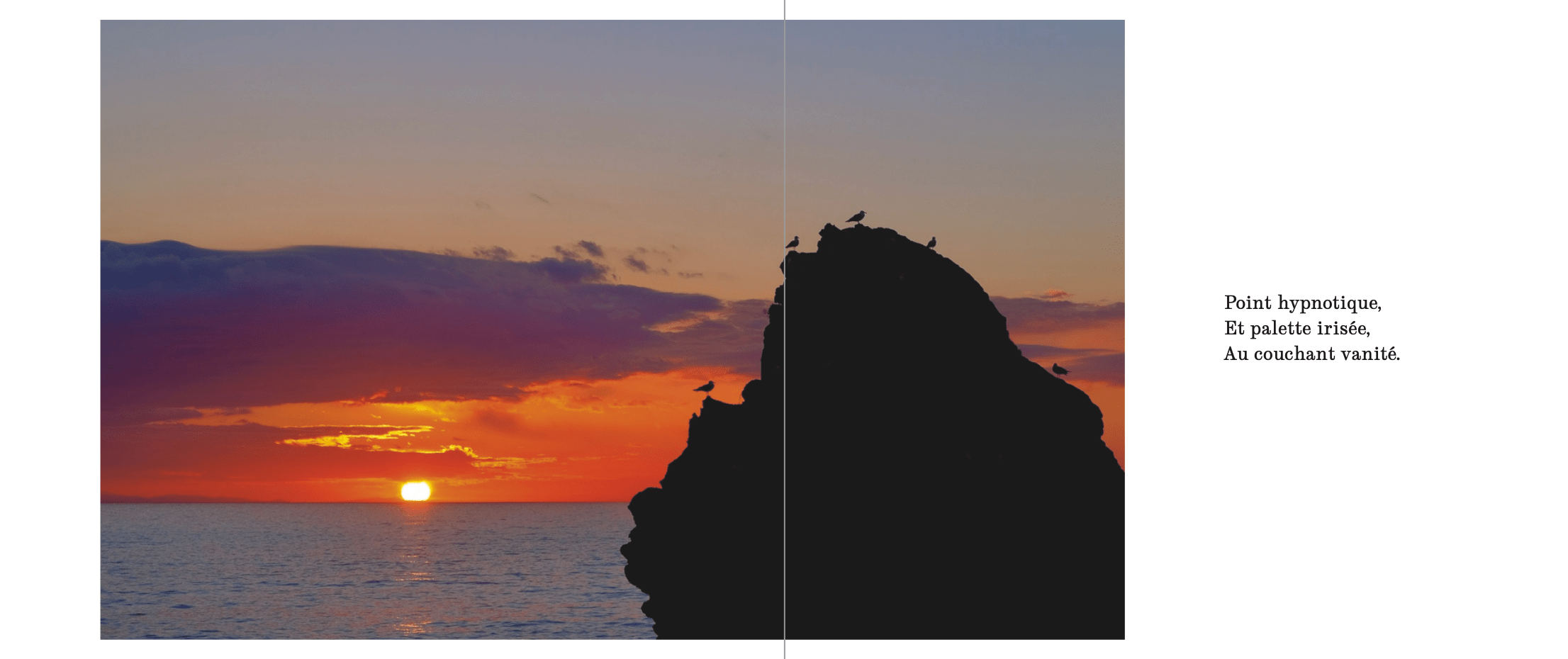 page oiseau livre BIARRITZ claire favry