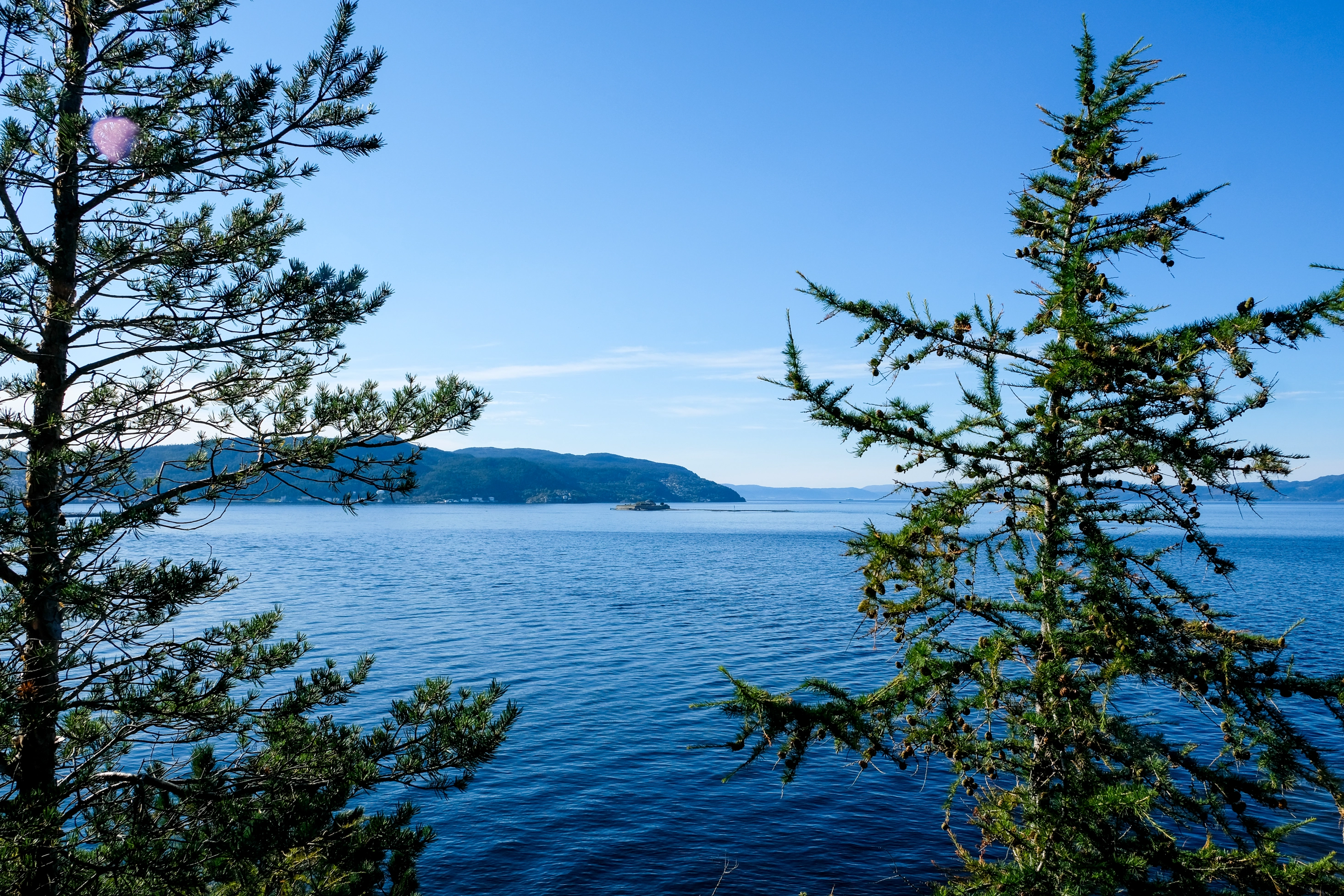 vue-munkholmen-fjord-trondheim-photographie-norvege-claire-favry